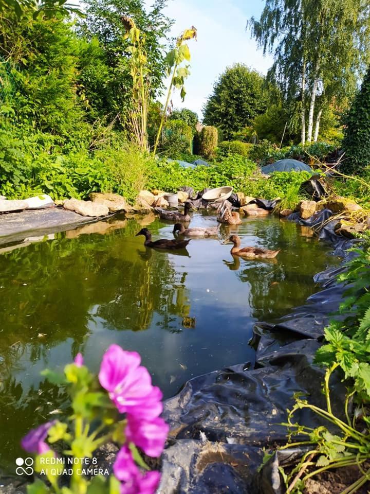 Tente Mongole 4 Saisons Cosy Et Spacieux Conchy-les-Pots Exterior foto